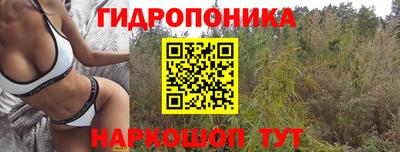 СК Свободный