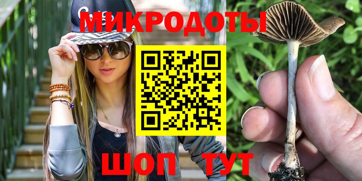 Псилоцибиновые грибы Psilocybine cubensis Сальск