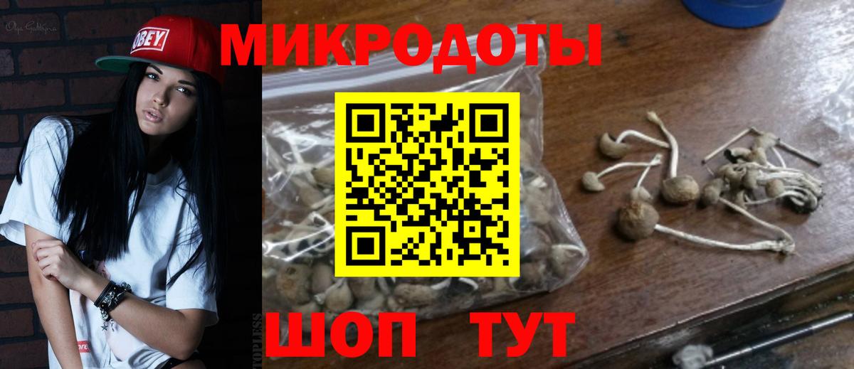 Галлюциногенные грибы Cubensis  Вход с VPN  Псилоцибиновые грибы Cubensis  Сальск 